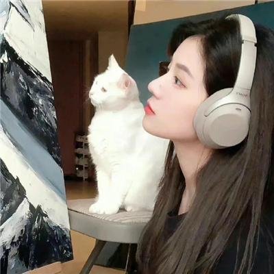 飞龙引凤